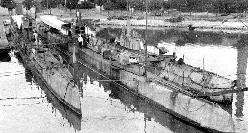Ластоногие «хищники» Черноморского флота