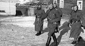 «Голубая дивизия» под Ленинградом